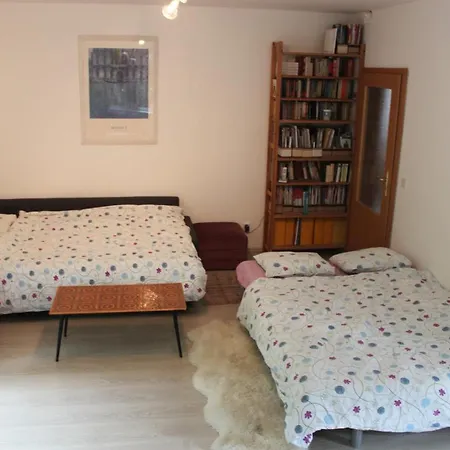 Conifer Idyllicprague Prag