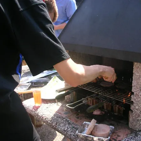 Conifer Idyllicprague Prag