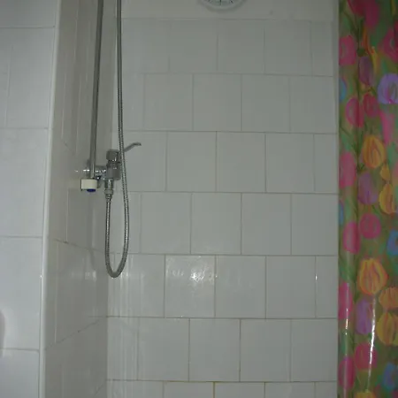 Conifer Idyllicprague *