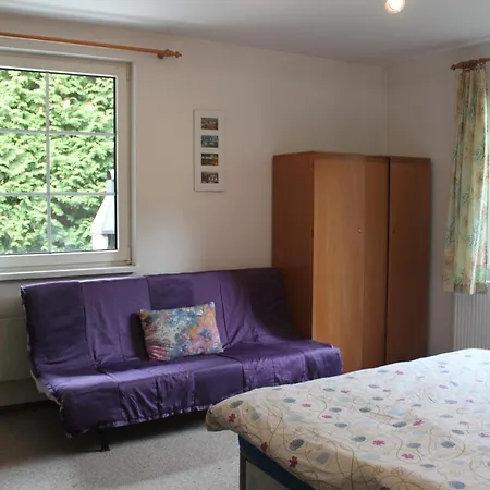 Conifer Idyllicprague