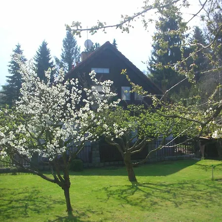 Conifer Idyllicprague Feriehus