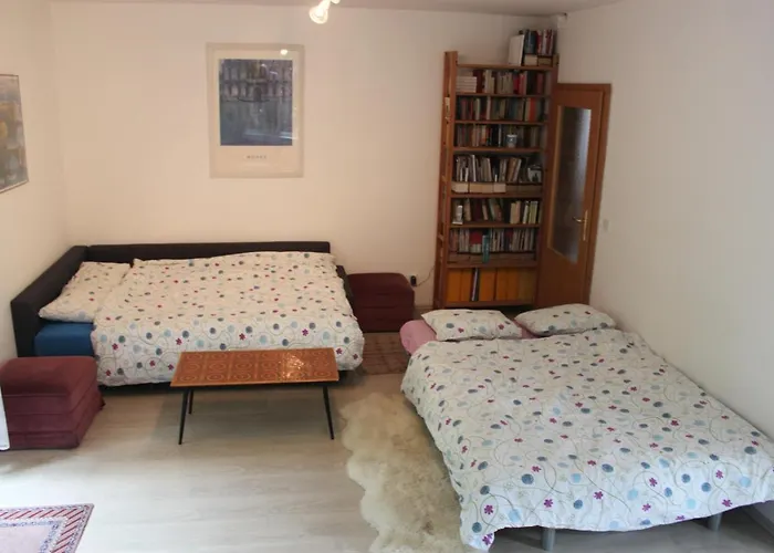 Conifer Idyllicprague Praag