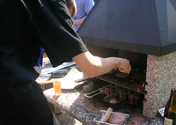 Conifer Idyllicprague Praag
