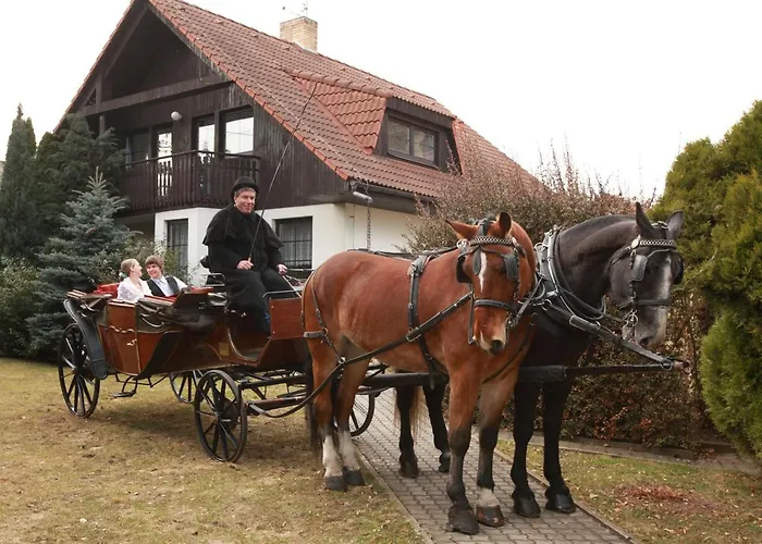 Conifer Idyllicprague Vakantiehuis *