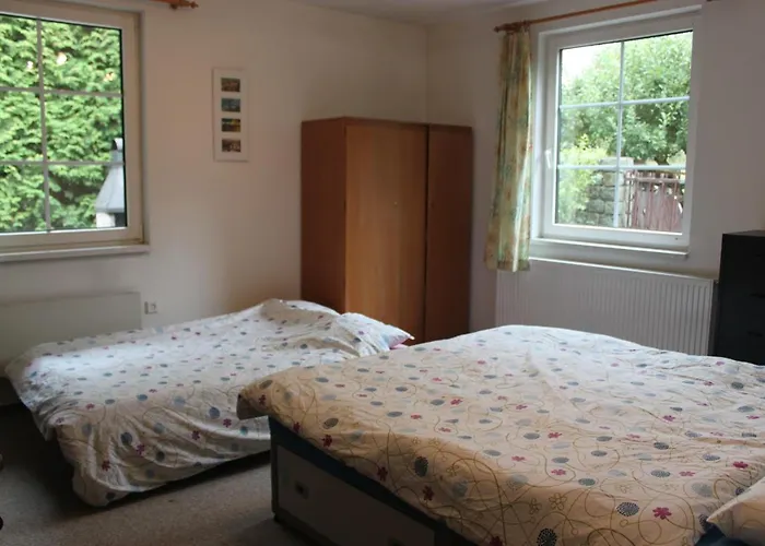 Conifer Idyllicprague * Praag