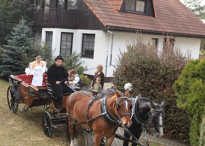 Conifer Idyllicprague *