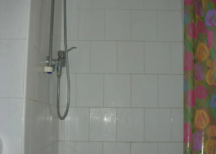 Conifer Idyllicprague *