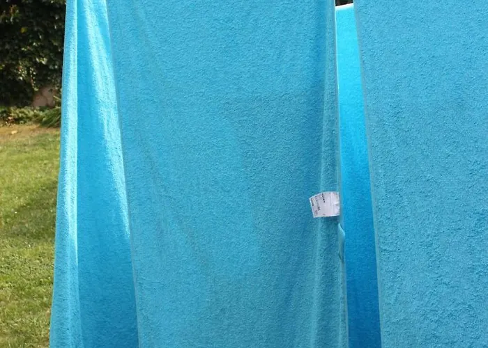 Conifer Idyllicprague * Praag