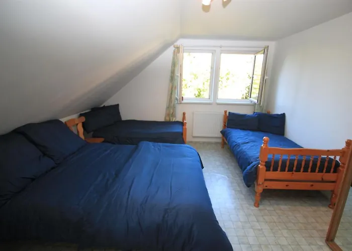 Conifer Idyllicprague * Praag