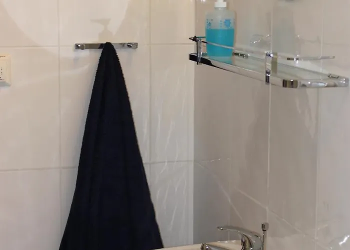 Conifer Idyllicprague Praag