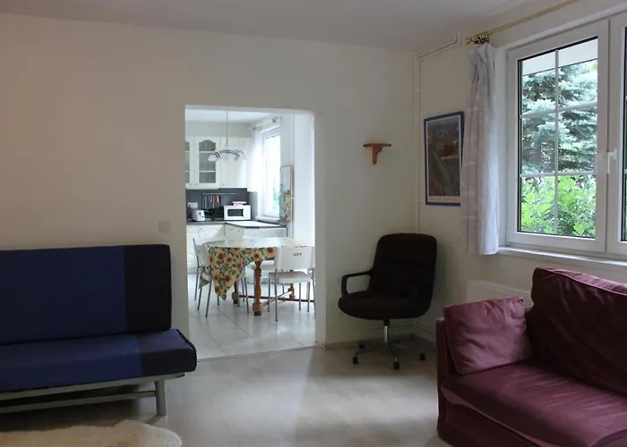 Conifer Idyllicprague