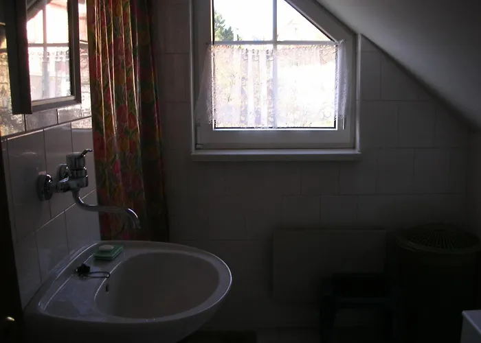 Conifer Idyllicprague * Praag