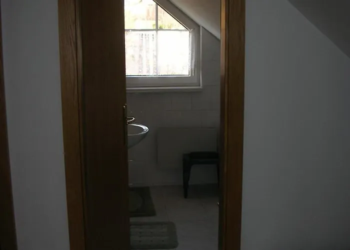 Conifer Idyllicprague *