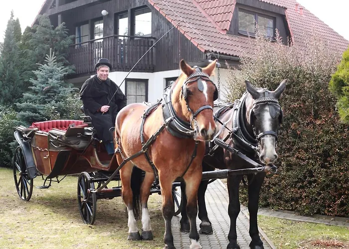 Conifer Idyllicprague * Praag