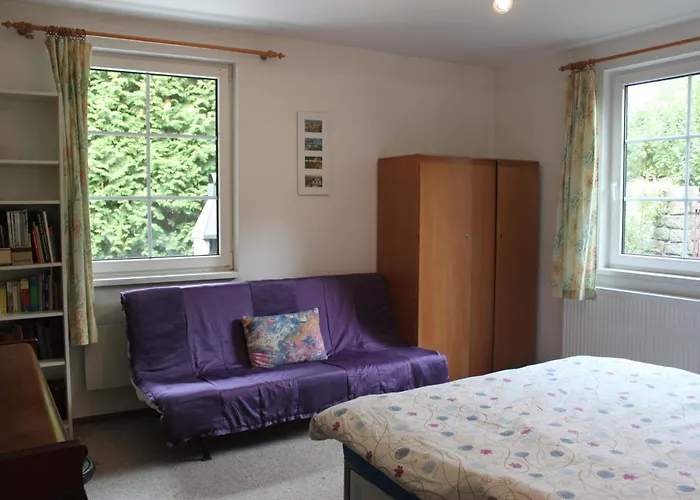 Conifer Idyllicprague