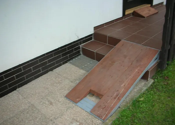 Conifer Idyllicprague