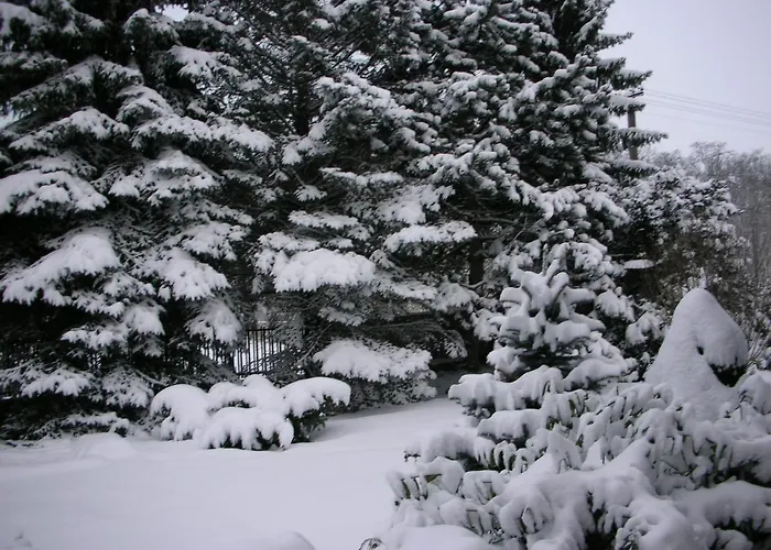 Vakantiehuis Conifer Idyllicprague Praag