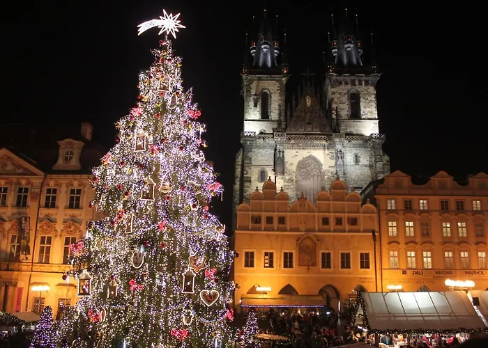 Conifer Idyllicprague *