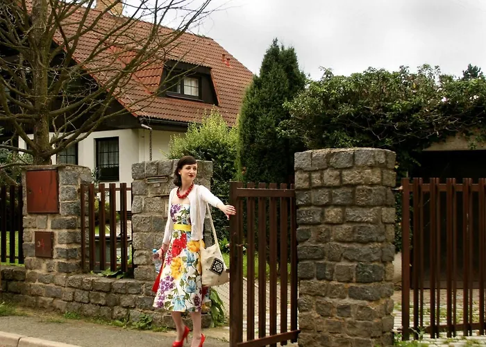 Conifer Idyllicprague