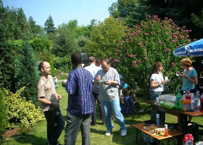 Conifer Idyllicprague