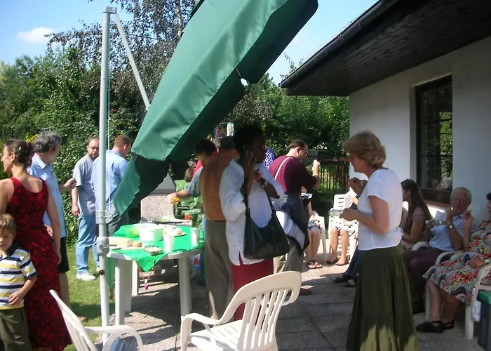 Conifer Idyllicprague