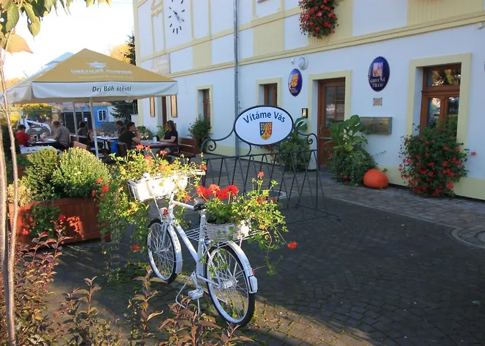 Conifer Idyllicprague