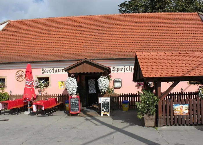 Conifer Idyllicprague