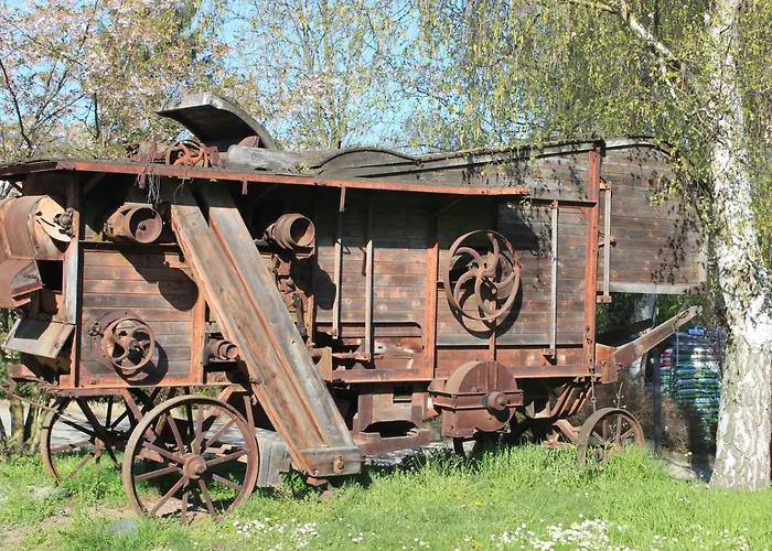 Conifer Idyllicprague *