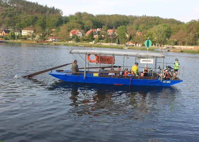 Conifer Idyllicprague Praag