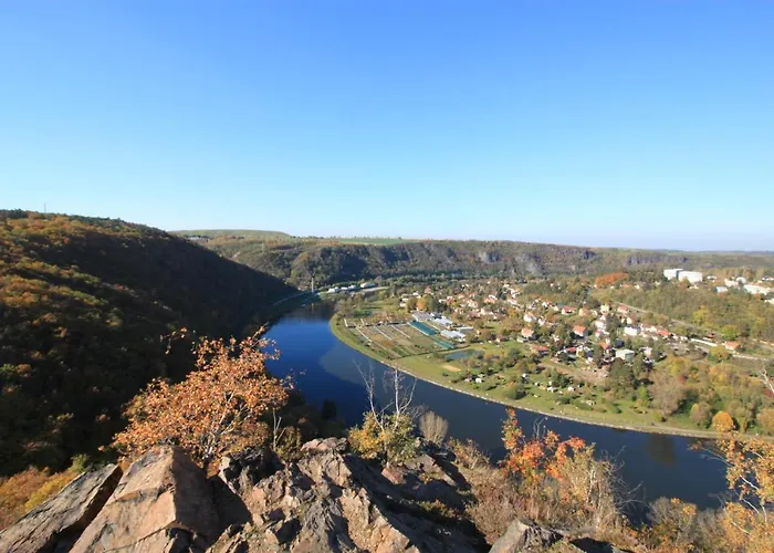 Conifer Idyllicprague *