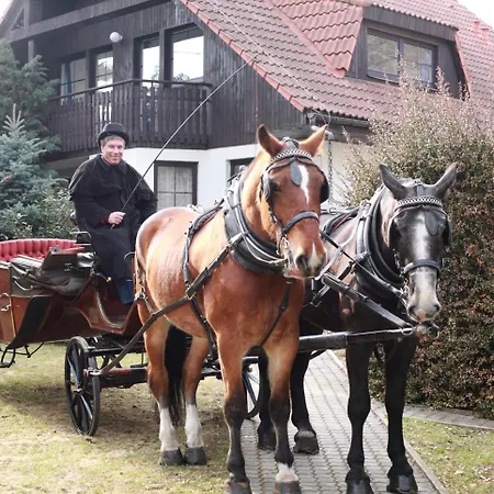 Conifer Idyllicprague * פראג