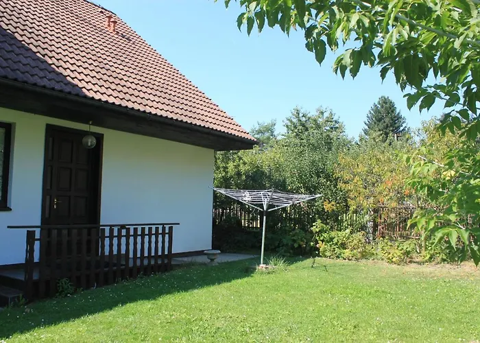 Conifer Idyllicprague